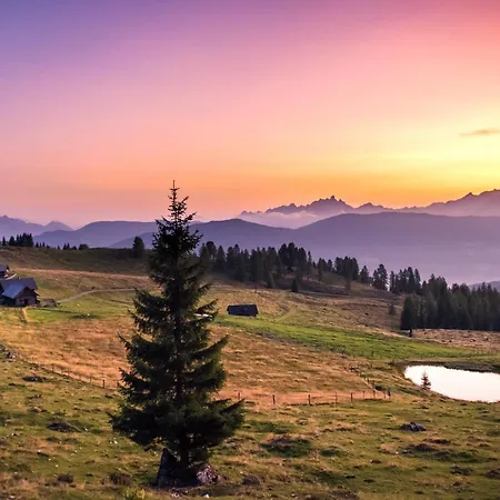 Hotel apartamentowy Lisal 4*