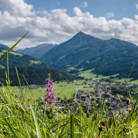 Hotel apartamentowy Lisal