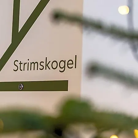 Lisal 4* Altenmarkt im Pongau
