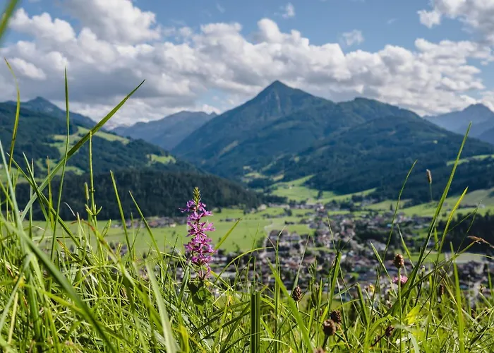 Апарт-отель Lisal