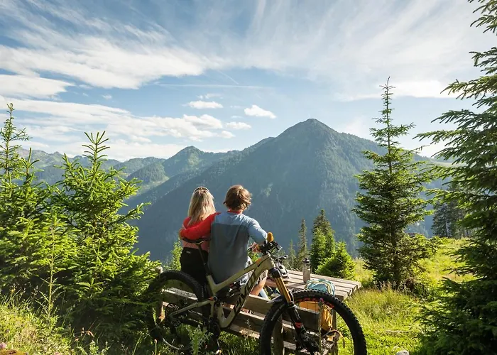 Апарт-отель Lisal Альтенмаркт (Понгау)